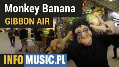 Monkey Banana Gibbon Air
