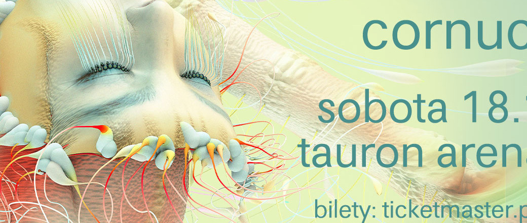 Björk ogłasza Cornucopia arena tour
