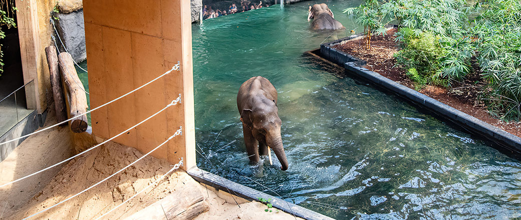 System nagłośnienia Orientarium ZOO Łódź nową realizacją Tommex