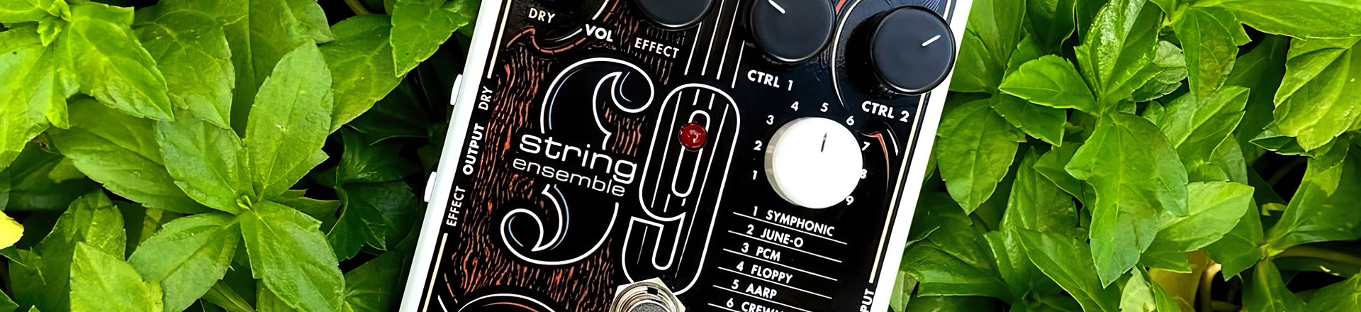 Electro-Harmonix Strig 9 - Zabrzmij jak sekcja smyczkowa