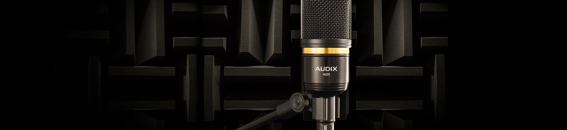 Audix A231 - Do pracy w studiu nagraniowym i domowym