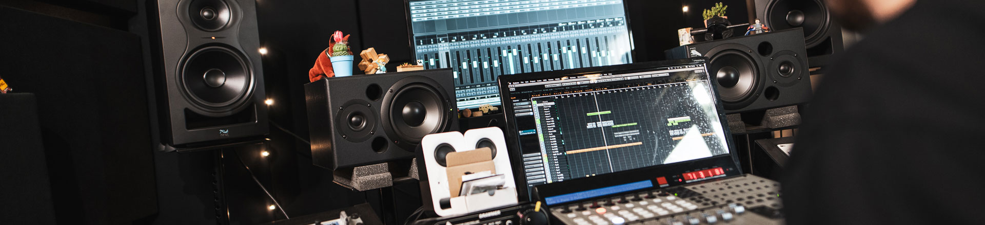 Subwoofer Kali Audio WS-12 w Hemp Studio