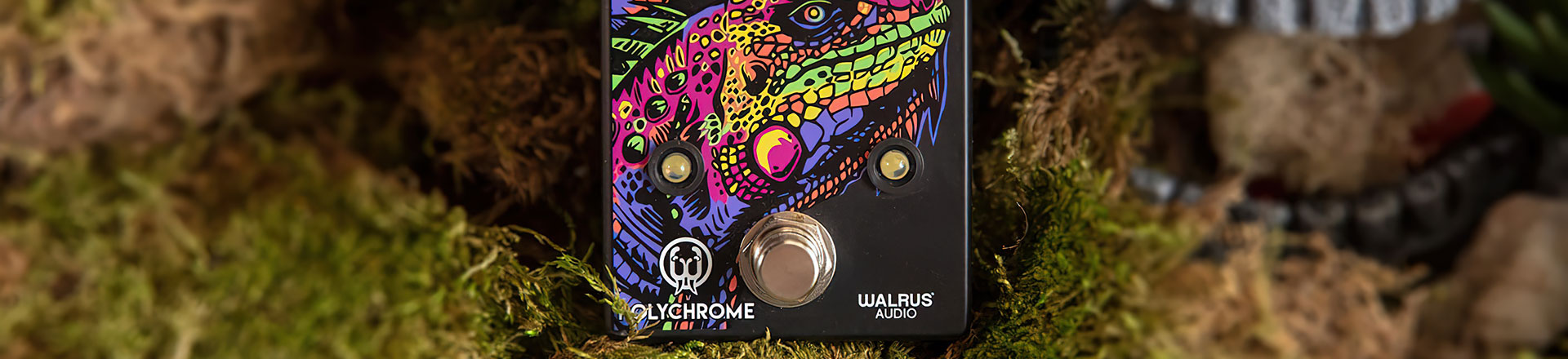 Walrus wzbogaca katalog o Polychrome Analog Flanger