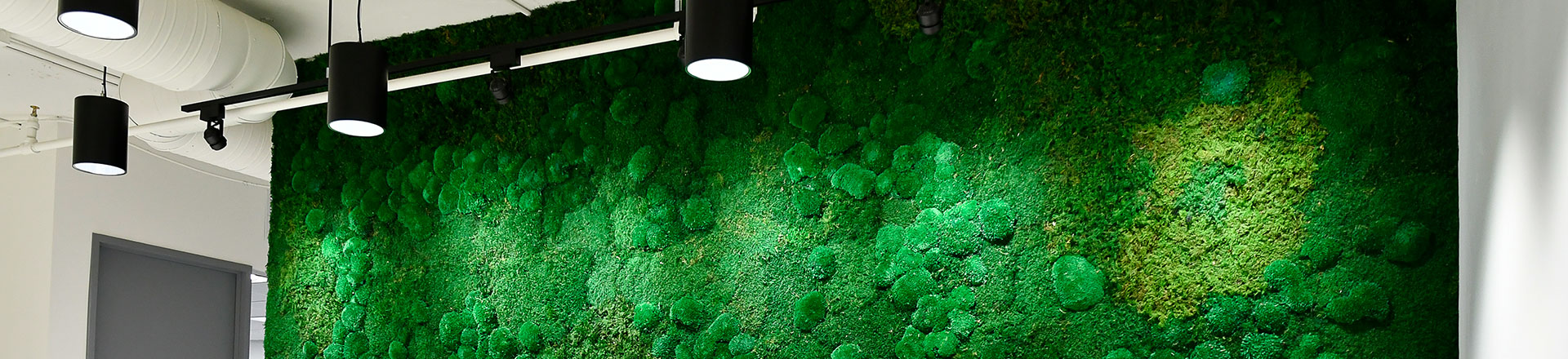 Panele z mchu od Green Acoustics - Pozbądź się echa i pogłosu