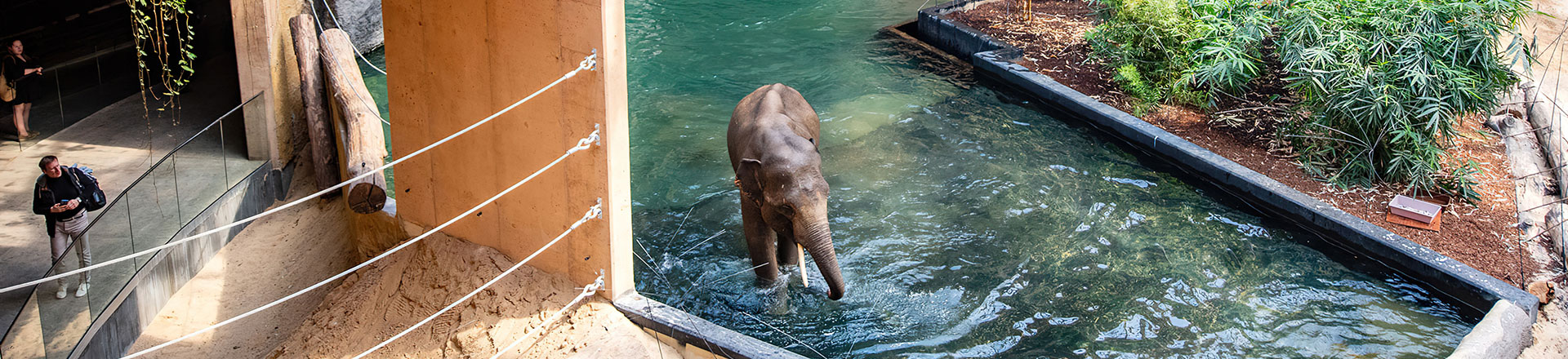 System nagłośnienia Orientarium ZOO Łódź nową realizacją Tommex