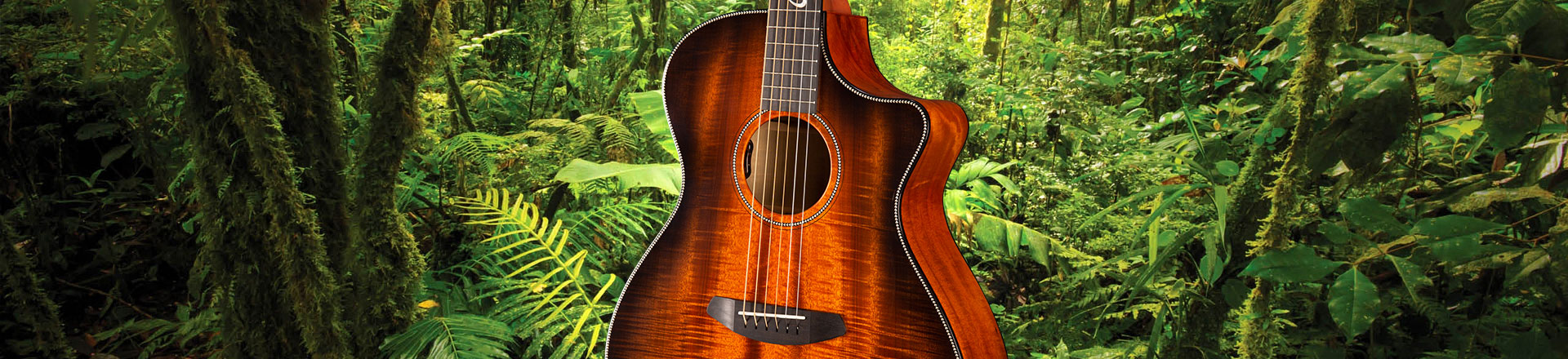 Breedlove & Jeff Bridges prezentują nowe eko-gitary