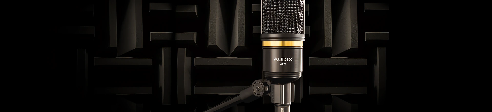 Audix A231 - Do pracy w studiu nagraniowym i domowym