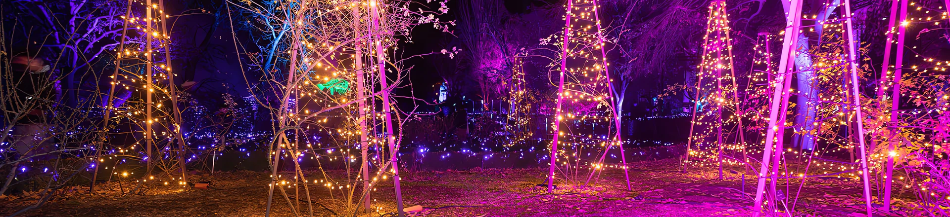 Reflektory Cameo w ogrodzie botanicznym jako oświetlenie architektoniczne