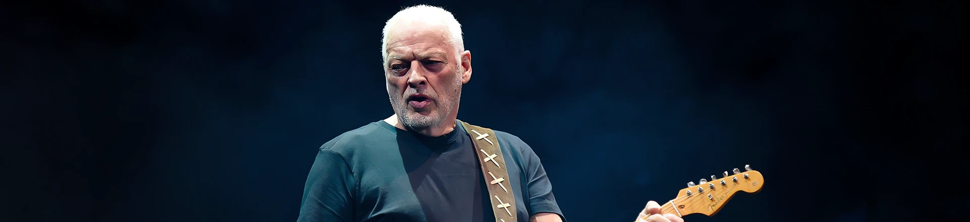 David Gilmour wystawia swoje instrumenty na cele charytatywne