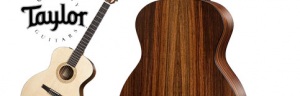 Nowy Taylor - NS24