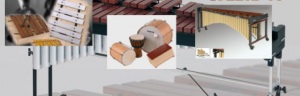 STUDIO 49: Producent instrumentów orffowskich oraz koncertowych instrumentów perkusyjnych.