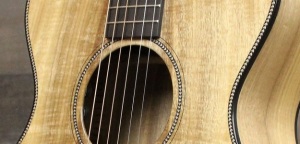Breedlove Oregon Concertina CE - Mały ale wariat!