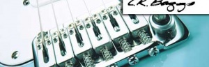 X-Bridge - mostek z przetwornikiem piezo