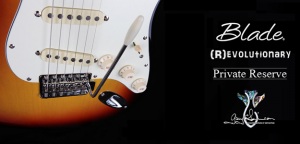 Polska strona Blade Guitars!