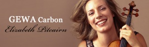 GEWA Carbon chroni skrzypce Stradivari