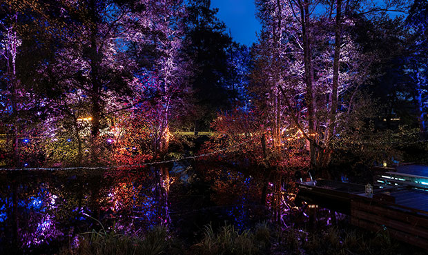 Lights in Alingsas lśni w magicznych kolorach dzięki Cameo