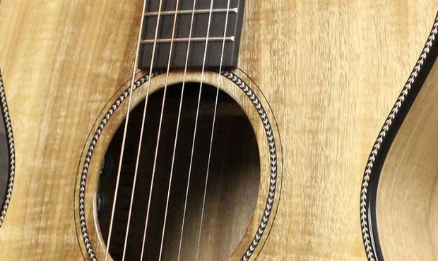 Breedlove Oregon Concertina CE - Mały ale wariat!