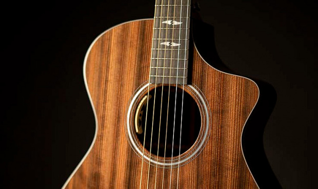 Rocznicowy model Focus SE od Breedlove