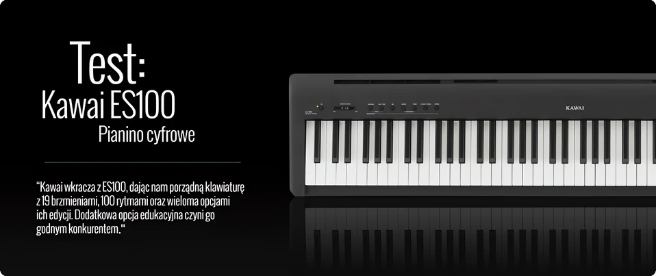 Es100 kawai hotsell