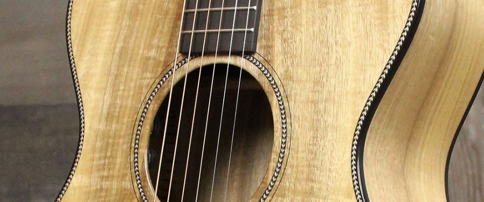 Breedlove Oregon Concertina CE - Mały ale wariat!