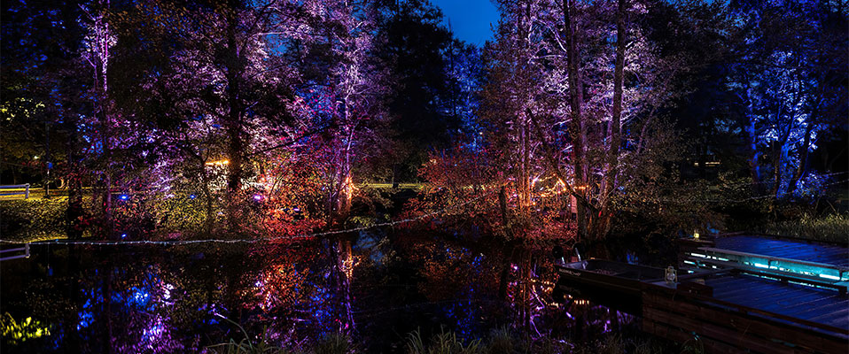 Lights in Alingsas lśni w magicznych kolorach dzięki Cameo