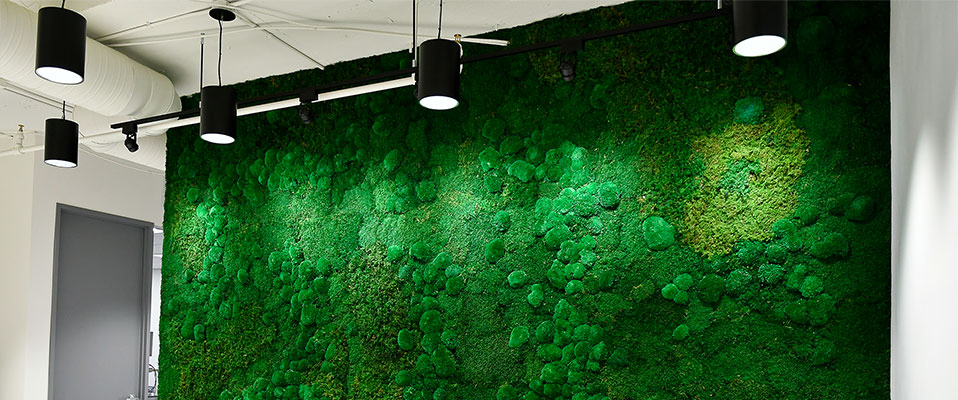 Panele z mchu od Green Acoustics - Pozbądź się echa i pogłosu