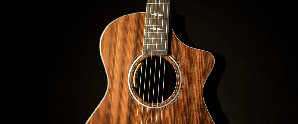 Rocznicowy model Focus SE od Breedlove