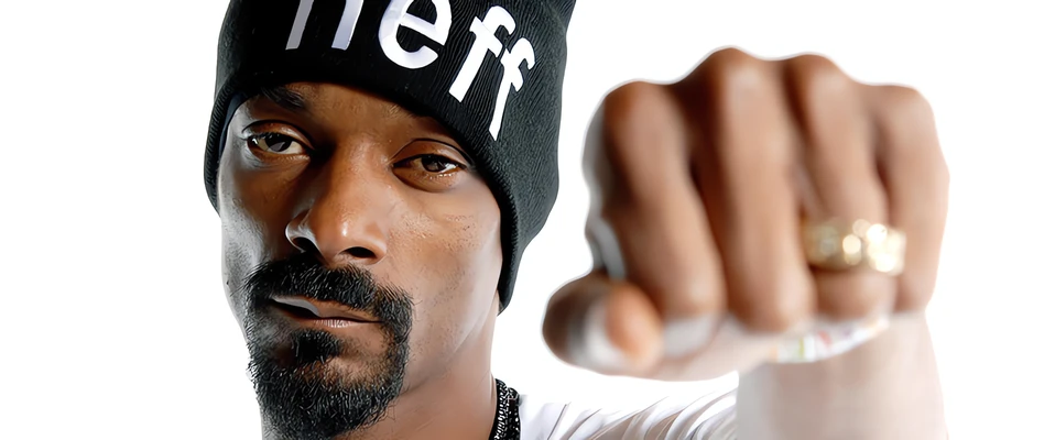 dB Technologies VIO na amerykańskiej trasie Snoop Dogga