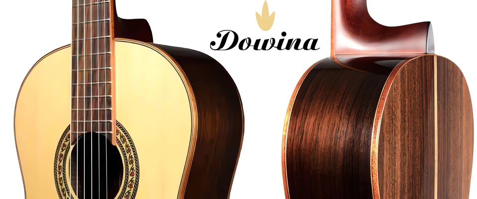 Nowa dostawa gitar Dowina + PROMOCJA