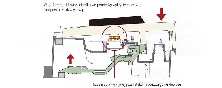 [img:4]