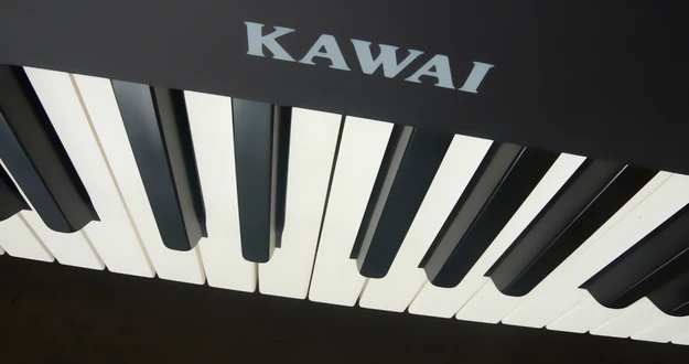 [lupa:1]