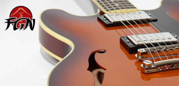 Test gitary semiakustycznej Fujigen MSA-HP