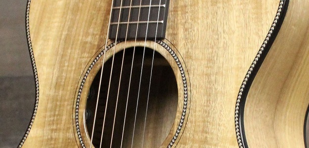 Nowość od Breedlove - Oregon Concertina CE