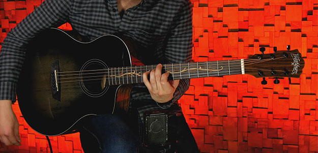 Praktyczna i piękna seria gitar Washburn