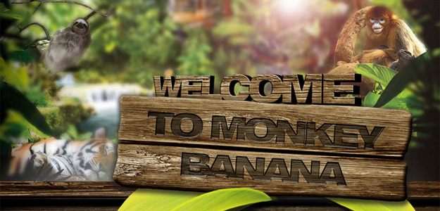 Przerwa na banana - Monkey Banana :)