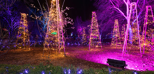 Reflektory Cameo w ogrodzie botanicznym jako oświetlenie architektoniczne