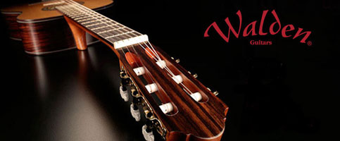 Walden - gitary akustyczne