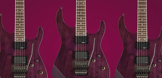 Smutny koniec gitar Fernandes