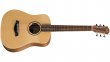 Taylor Baby Taylor BT1 Walnut  - gitara akustyczna - zdjęcie 1