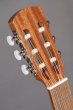 Alhambra Lagant - gitara klasyczna 4/4 - zdjęcie 3