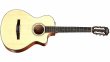 Taylor 312ce-N - gitara elektroakustyczna nylon - zdjęcie 1