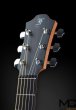 Furch G-40 Deluxe LR Baggs Stage Pro Element - gitara elektroakustyczna - zdjęcie 2