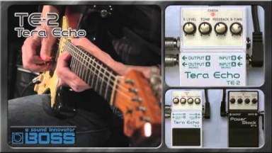 TE-2 Tera Echo [BOSS Sound Check]
