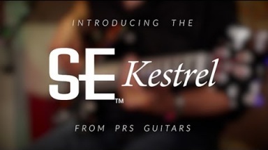 The PRS SE Kestrel Bass