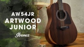 Ibanez Acoustic Artwood Junior - AW54JR