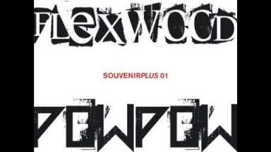 Steve Lawler &amp; Alex Tepper - Flexwood