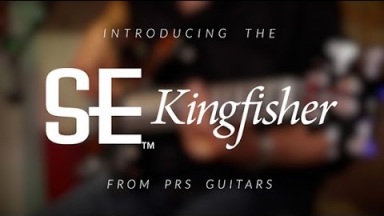 The PRS SE Kingfisher Bass