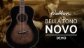 Washburn Bella Tono Novo- Acoustic Guitar Demo