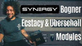 The Modular Amp | Synergy Amps | Bogner Ecstasy &amp; Uberschall