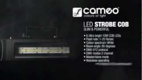 Cameo Light STROBE2 - EXTREMELY POWERFUL with 6 x 10 W WHITE COB LEDS